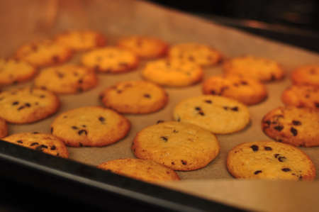 sweet crunchy cookies with dark chocolate for teatime copy spaceの写真素材