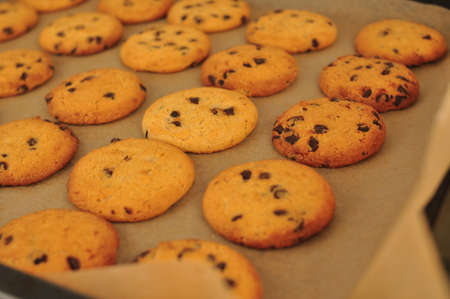sweet crunchy cookies with dark chocolate for teatime copy spaceの写真素材