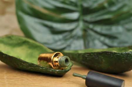 Green natural color of gel polish for manicure . High quality photoの写真素材