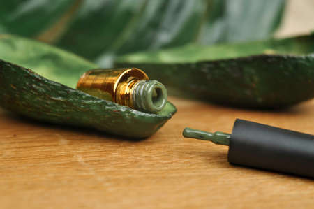 Green natural color of gel polish for manicure . High quality photoの写真素材