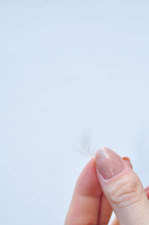Little white feather on hand macro view . High quality photoの写真素材