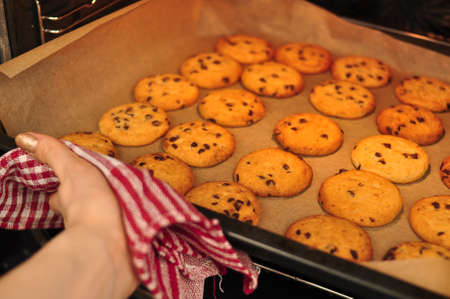 sweet crunchy cookies with dark chocolate for teatime copy spaceの写真素材