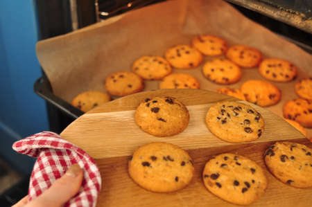 sweet crunchy cookies with dark chocolate for teatime copy spaceの写真素材