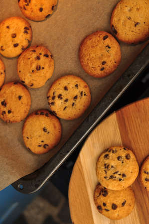sweet crunchy cookies with dark chocolate for teatime copy spaceの写真素材