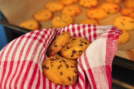 sweet crunchy cookies with dark chocolate for teatime copy spaceの写真素材