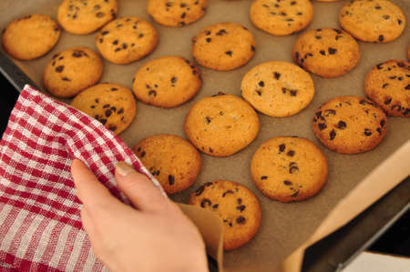 sweet crunchy cookies with dark chocolate for teatime copy spaceの写真素材
