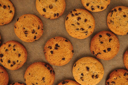 sweet crunchy cookies with dark chocolate for teatime copy spaceの写真素材