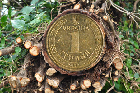 forest log on a background of green branches with golden Ukrainian coin. Translation from Ukrainian :one hryvnia, Ukraine .の写真素材