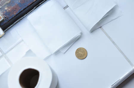 Roll of white toilet paper and golden Ukrainian hryvnia coin. Translation from Ukrainian :one hryvnia, Ukraine. High quality photoの写真素材
