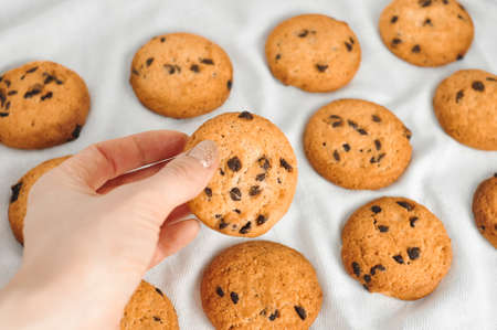 sweet crunchy cookies with dark chocolate for teatime copy spaceの写真素材