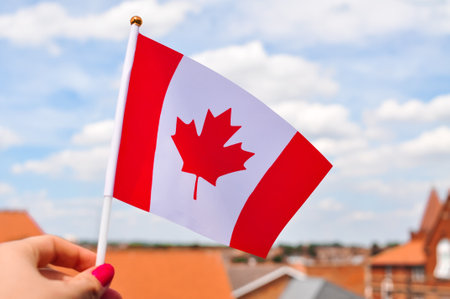 the national flag of Canada red maple leaf red and white colors close up.の写真素材