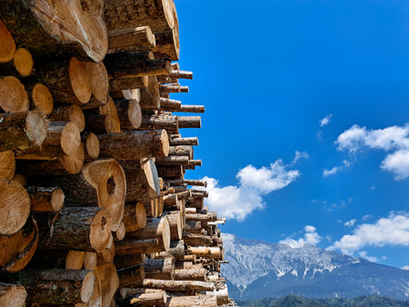 storage of wooden round tree cut for building and firewood, log house . High quality photoの写真素材