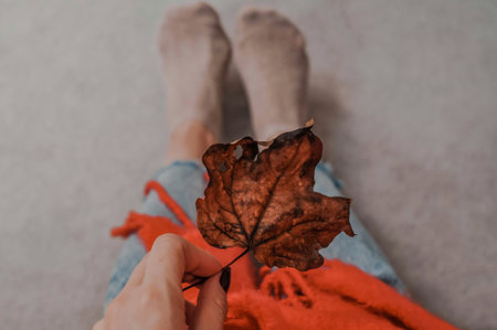 Close up of brown cotton socks autumn cozy clothing.の写真素材