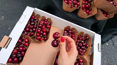 Red raw fresh cherry merry in boxes in the market top view . High quality photoの写真素材