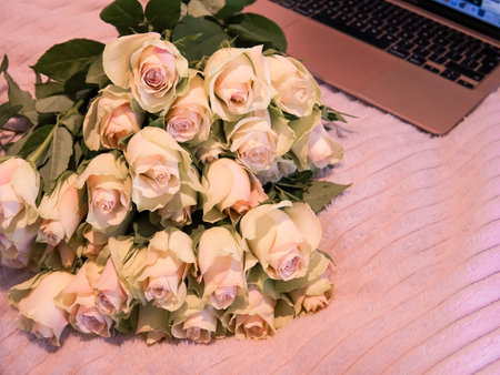 Close up of white roses natural floral background copy space .の写真素材