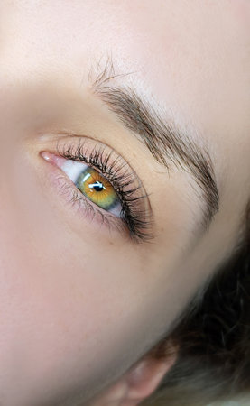close up of eye with eyelash extensions in beauty salon macro eye top view.の写真素材