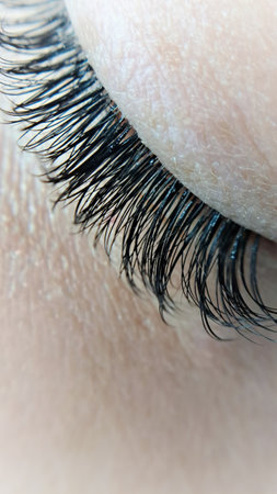 close up of eyelash extensions in beauty salon macro eye.の写真素材