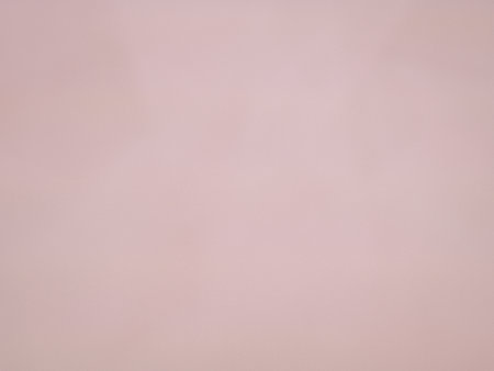 smooth powdery soft pink background copy space ,place for text. High quality photoの写真素材