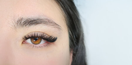 close up of eye with eyelash extensions ,beauty salon treatment. High quality photoの写真素材