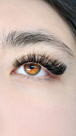 close up of eye with eyelash extensions ,beauty salon treatment. High quality photoの写真素材