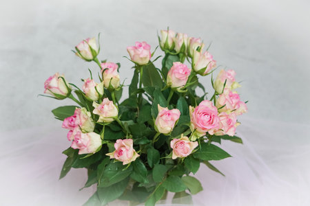 bouquet of pink roses in vase close up ,natural flower background.の写真素材