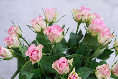 bouquet of pink roses in vase close up ,natural flower background.の写真素材