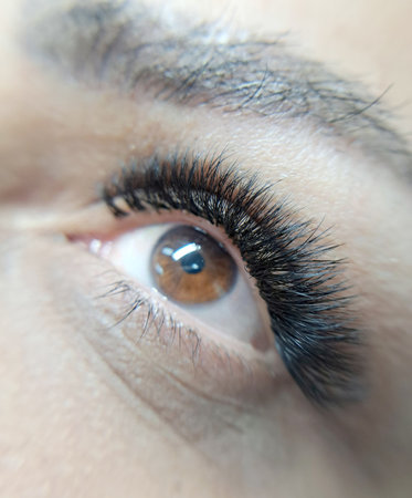 close up of eye with eyelash extensions ,beauty salon treatment. High quality photoの写真素材