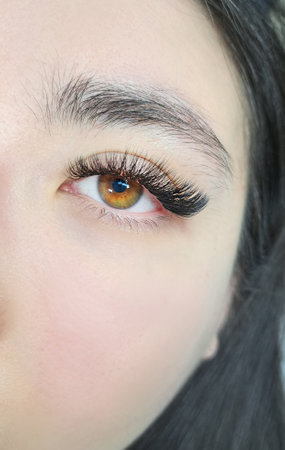 close up of eye with eyelash extensions ,beauty salon treatment. High quality photoの写真素材