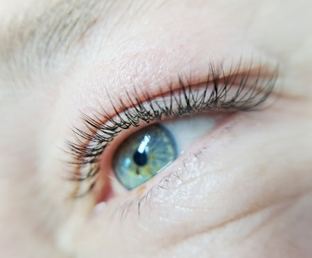 close up of eye with eyelash extensions ,beauty salon treatment. High quality photoの写真素材