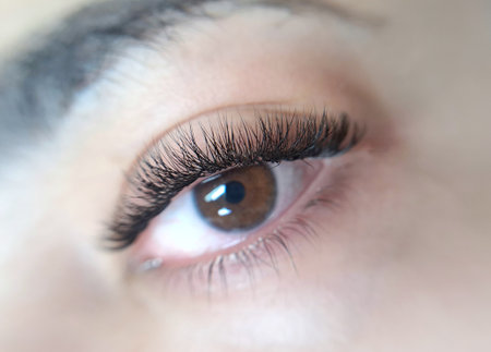 close up of eye with eyelash extensions ,beauty salon treatment. High quality photoの写真素材