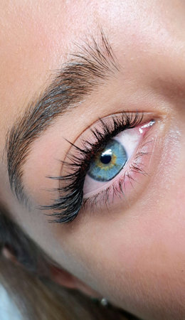 close up of eye with eyelash extensions ,beauty salon treatment. High quality photoの写真素材