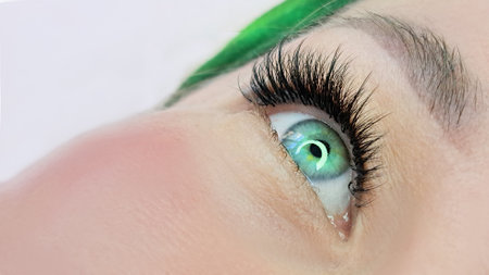 close up of eye with eyelash extensions ,beauty salon treatment. High quality photoの写真素材