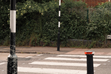 Whote line of crosswalk on the asphalt road on the town street for pedestrian . High quality photoの写真素材
