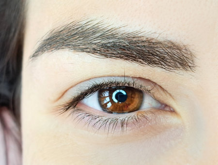 close up of eyelash extensions in beauty salon macro eye. 2d,3d,russian,kim classical volumeの写真素材