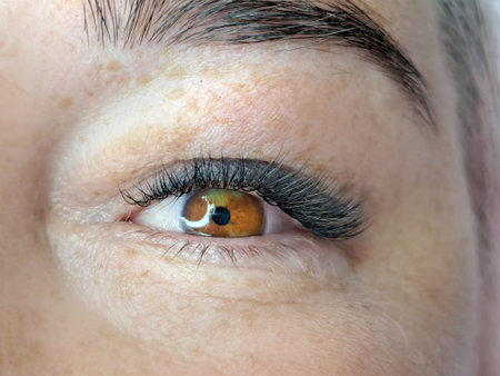 close up of eye with eyelash extensions in beauty salon macro eyeの写真素材