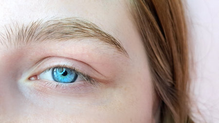Close up of eye with eyelash extensions ,beauty salon treatment ,2d volume, 3d volume, classical lashes,Russian volume,megavolume, new setの写真素材