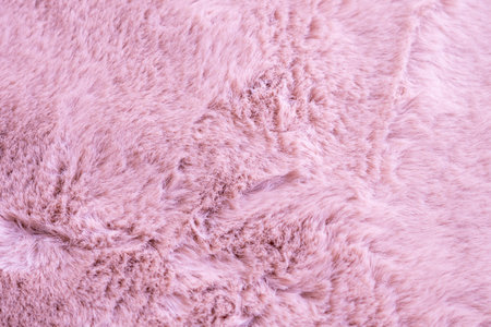pink fur background,fluffy powdery carpet.の写真素材