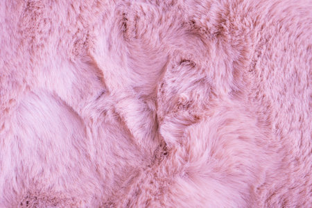 pink fur background,fluffy powdery carpet.の写真素材