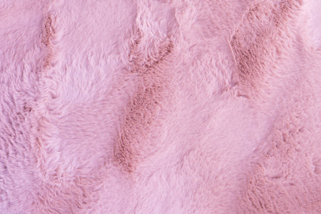 pink fur background,fluffy powdery carpet.の写真素材
