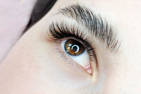 Close up of eye with eyelash extensions ,beauty salon treatment ,2d volume, 3d volume, classical...