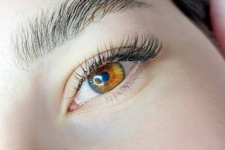 Close up of eye with eyelash extensions ,beauty salon treatment ,2d volume, 3d volume, classical lashes,Russian volume,megavolume, new set.の写真素材