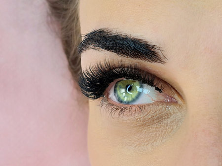 Close up of eye with eyelash extensions ,beauty salon treatment ,2d volume, 3d volume, classical lashes,Russian volume,megavolume, new set.の写真素材