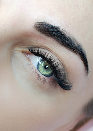 Close up of eye with eyelash extensions ,beauty salon treatment ,2d volume, 3d volume, classical lashes,Russian volume,megavolume, new set.の素材 [FY310208022347]