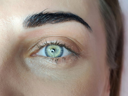 Close up of eye with eyelash extensions ,beauty salon treatment ,2d volume, 3d volume, classical lashes,Russian volume,megavolume, new set.の写真素材