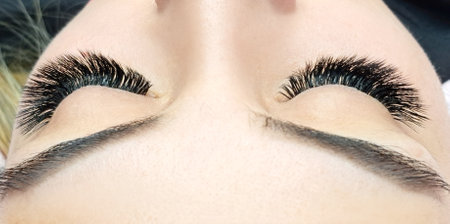 Close up of eye with eyelash extensions ,beauty salon treatment ,2d volume, 3d volume, classical lashes,Russian volume,megavolume, new set.の写真素材