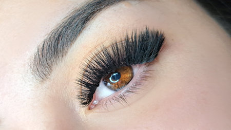 Close up of eye with eyelash extensions ,beauty salon treatment ,2d volume, 3d volume, classical lashes,Russian volume,megavolume, new set.の写真素材