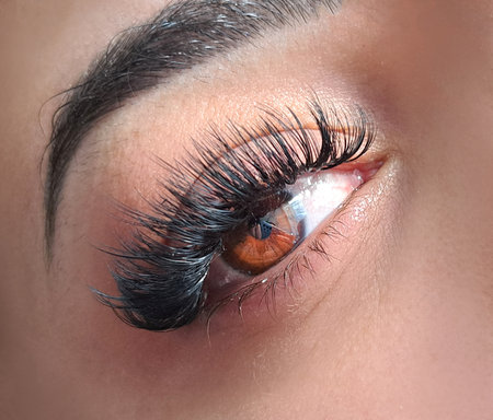 Close up of eye with eyelash extensions ,beauty salon treatment ,2d volume, 3d volume, classical lashes,Russian volume,megavolume, new set.の写真素材