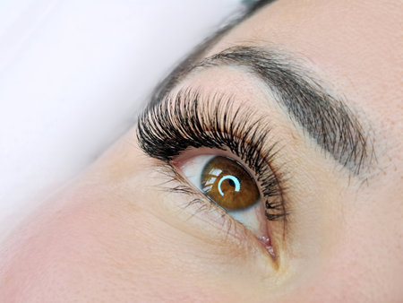 Close up of eye with eyelash extensions ,beauty salon treatment ,2d volume, 3d volume, classical lashes,Russian volume,megavolume, new set.の写真素材