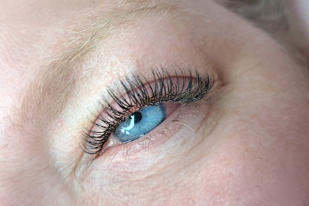Close up of eye with eyelash extensions ,beauty salon treatment ,2d volume, 3d volume, classical lashes,Russian volume,megavolume, new set.の写真素材
