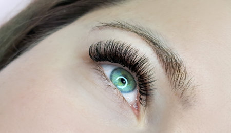 Close up of eye with eyelash extensions ,beauty salon treatment ,2d volume, 3d volume, classical lashes,Russian volume,megavolume, new set.の写真素材